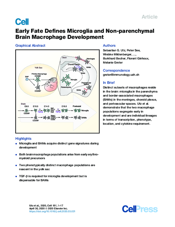 (PDF) Early Fate Defines Microglia and Non-parenchymal Brain Macrophage ...