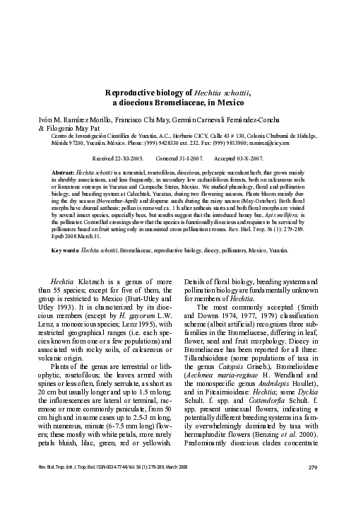 Reproductive biology of Hechtia schottii, a dioecious Bromeliaceae, in Mexico