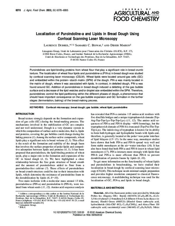 (PDF) Localization of Puroindoline-a and Lipids in Bread Dough Using ...