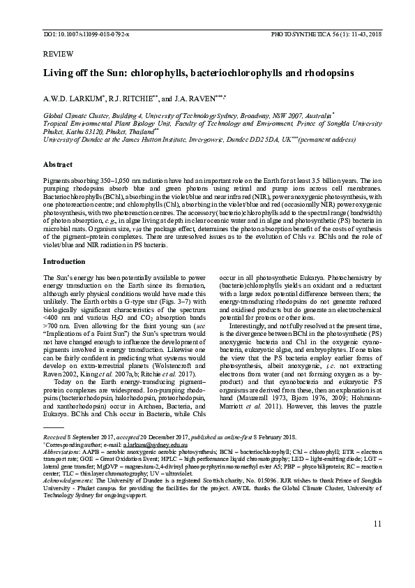 (PDF) Living off the Sun: chlorophylls, bacteriochlorophylls and ...