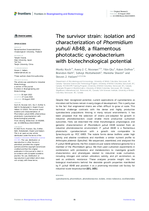 (PDF) The survivor strain: isolation and characterization of Phormidium ...