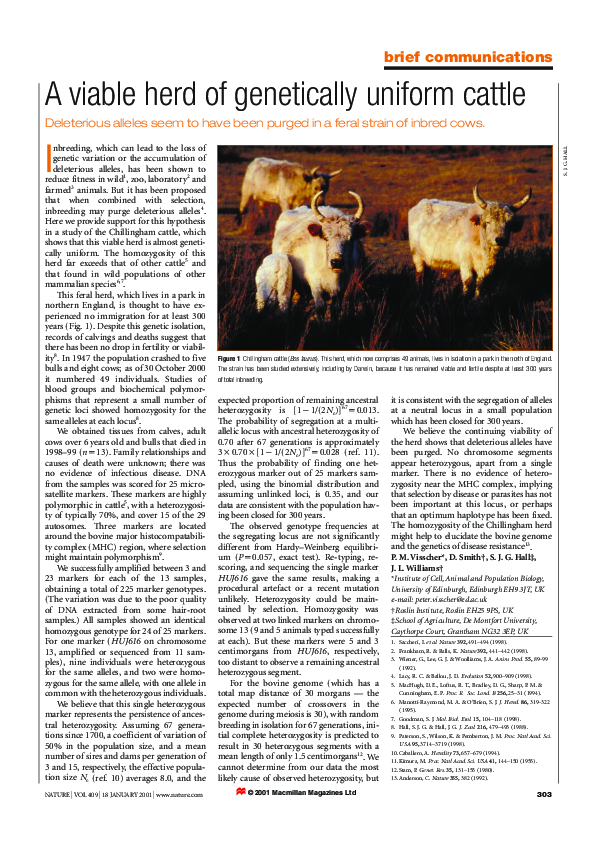 (PDF) A viable herd of genetically uniform cattle