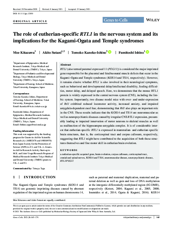 (PDF) The role of eutherian‐specific RTL1 in the nervous system and its ...