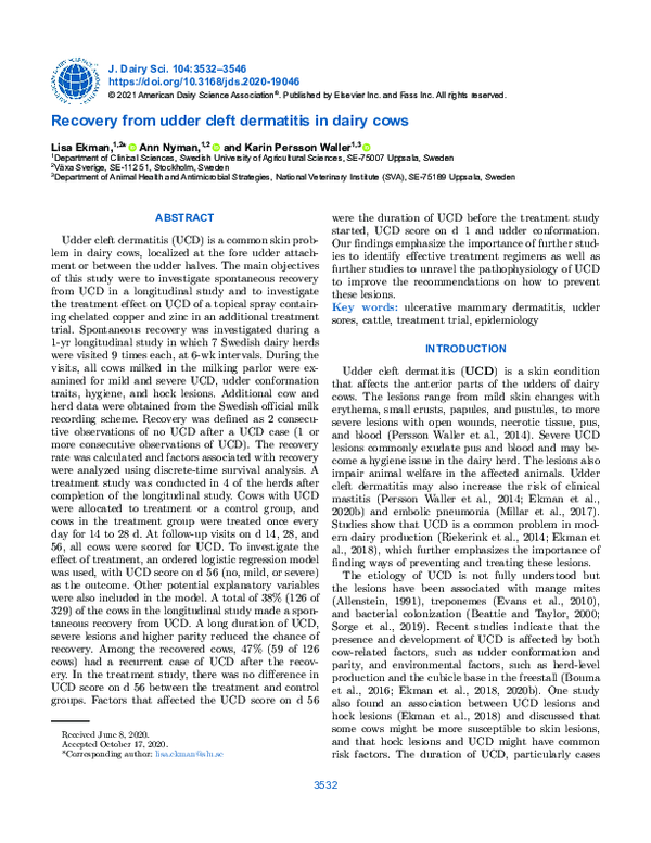 (PDF) Recovery from udder cleft dermatitis in dairy cows