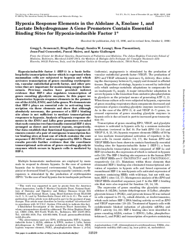 Hypoxia Response Elements in the Aldolase A, Enolase 1, and Lactate Dehydrogenase A Gene Promoters Contain Essential Binding Sites for Hypoxia-inducible Factor 1