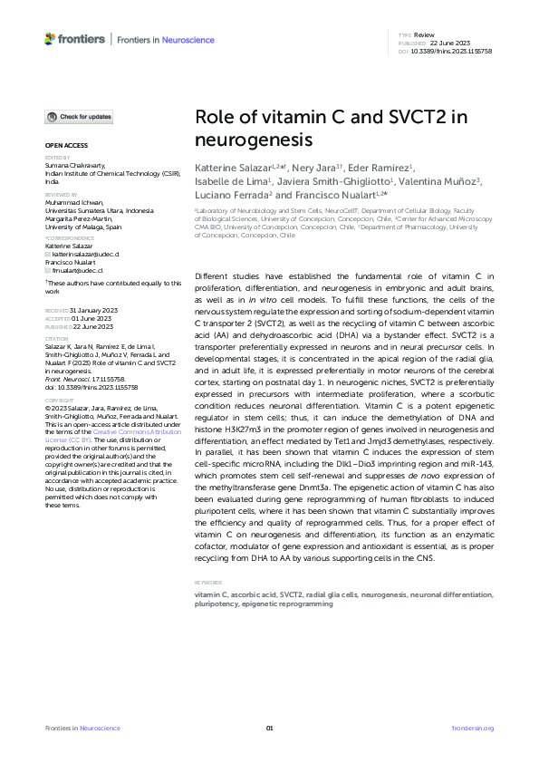 (PDF) Role of vitamin C and SVCT2 in neurogenesis