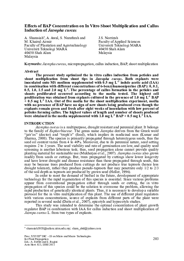 (PDF) Effects of Bap Concentration on in Vitro Shoot Multiplication and ...