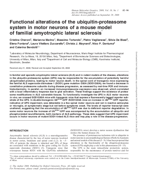 (PDF) Functional alterations of the ubiquitin-proteasome system in ...