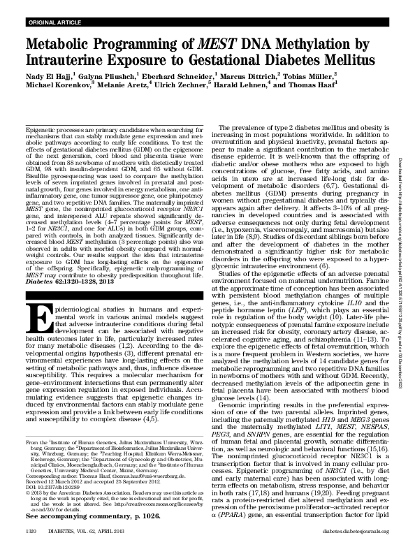 (PDF) Metabolic Programming of MEST DNA Methylation by Intrauterine ...
