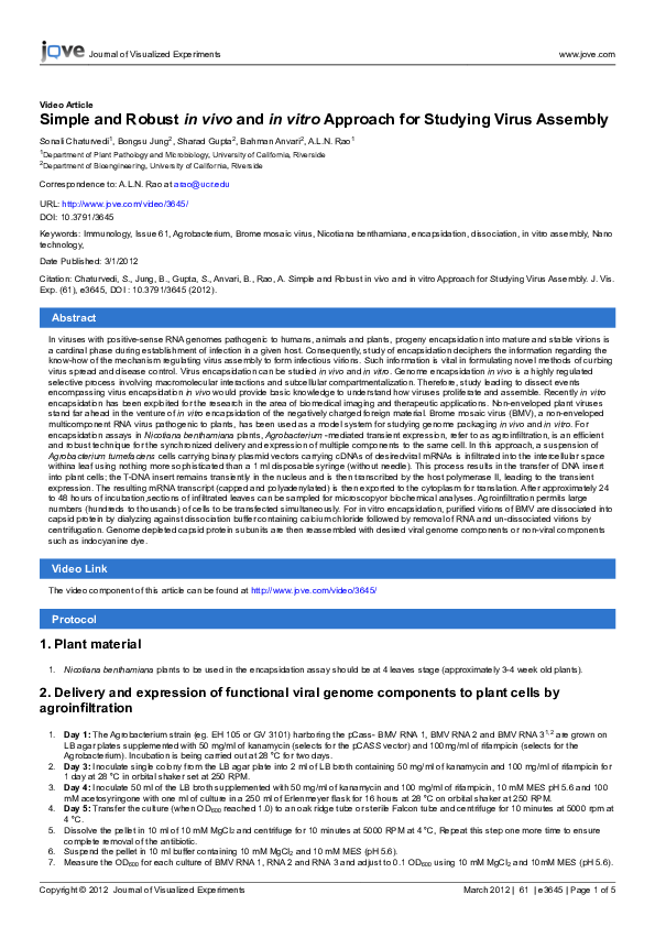 (PDF) Simple and Robust in vivo and in vitro Approach for Studying ...