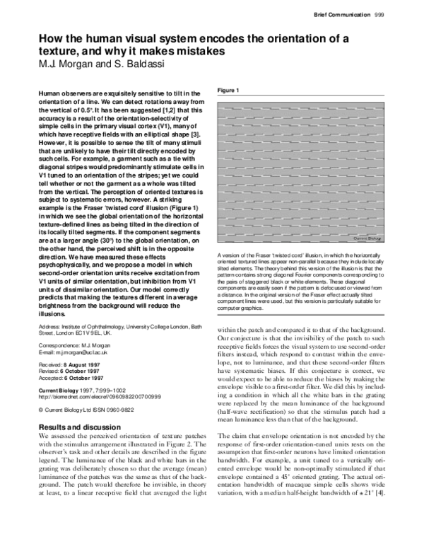 (PDF) How the human visual system encodes the orientation of a texture ...