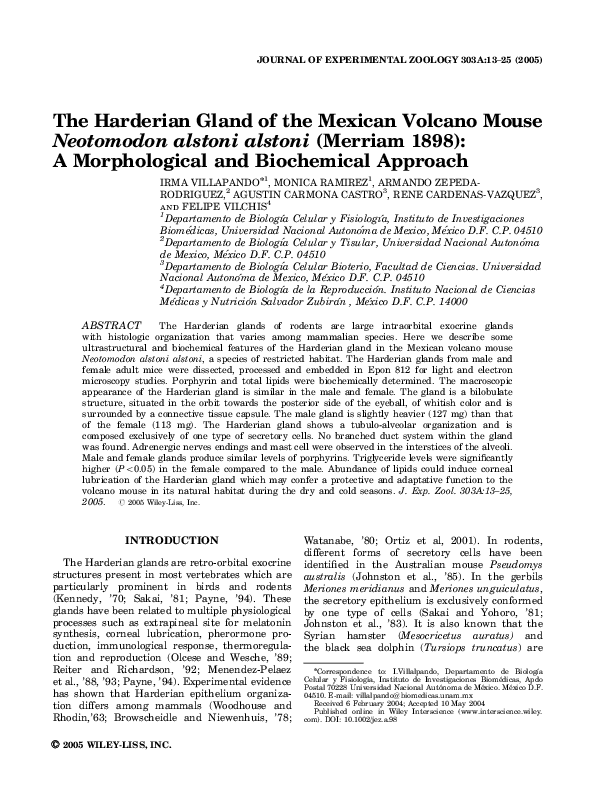 (PDF) The Harderian gland of the Mexican volcano mouseNeotomodon ...