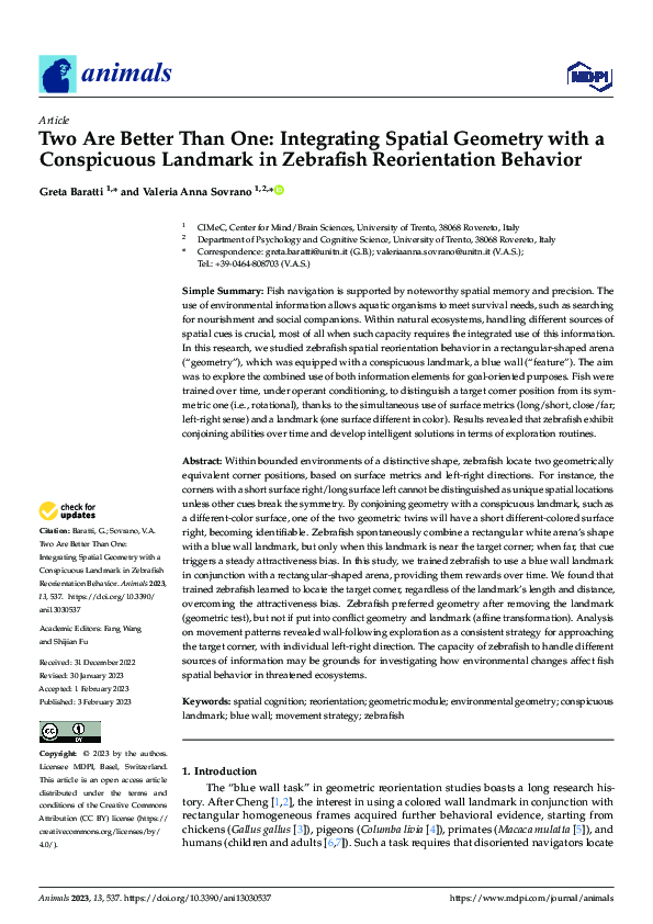 (PDF) Two Are Better Than One: Integrating Spatial Geometry with a ...