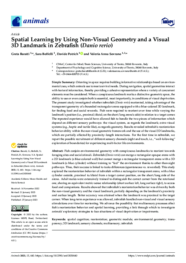 (PDF) Spatial Learning by Using Non-Visual Geometry and a Visual 3D ...