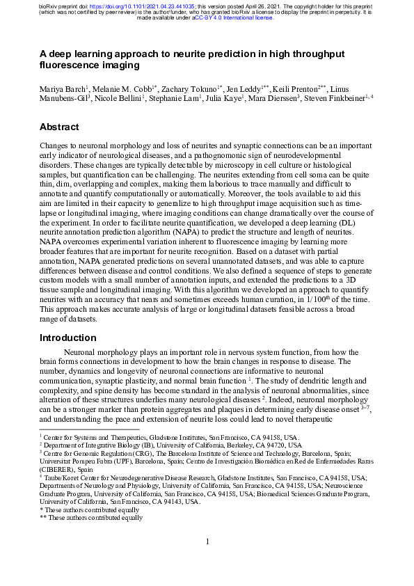 (PDF) A deep learning approach to neurite prediction in high throughput ...
