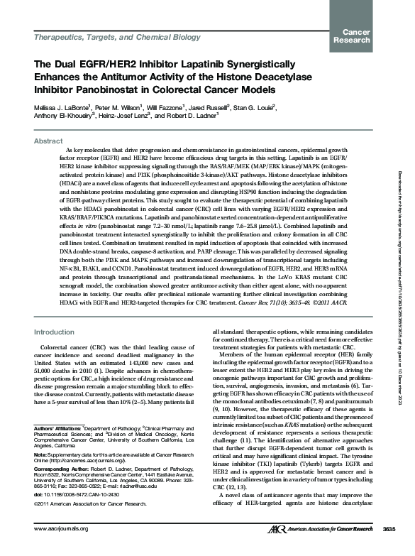 (PDF) The Dual EGFR/HER2 Inhibitor Lapatinib Synergistically Enhances ...