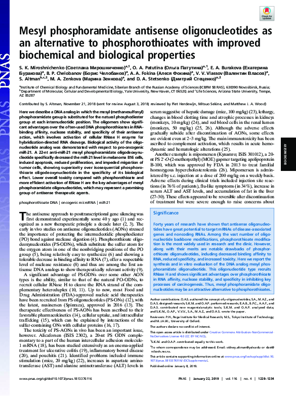 (PDF) Mesyl phosphoramidate antisense oligonucleotides as an ...