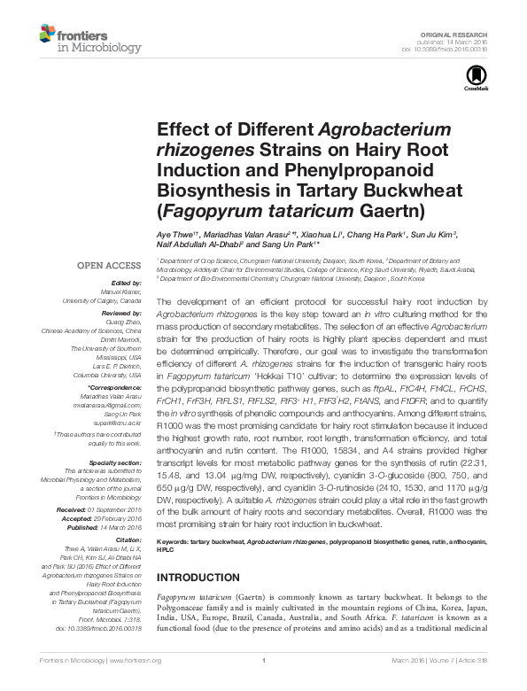 (PDF) Effect of different Agrobacterium rhizogenes strains on hairy ...