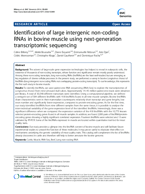 (PDF) Identification of large intergenic non-coding RNAs in bovine ...