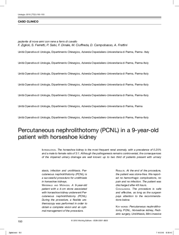 (PDF) Percutaneous Nephrolithotomy (PCNL) in a 9-year-old Patient with ...