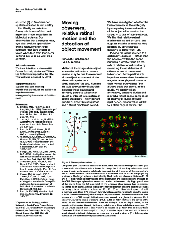 (PDF) Moving observers, relative retinal motion and the detection of ...