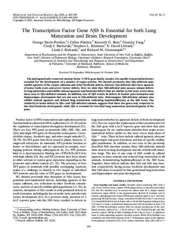 (PDF) The Transcription Factor Gene Nfib Is Essential for both Lung ...
