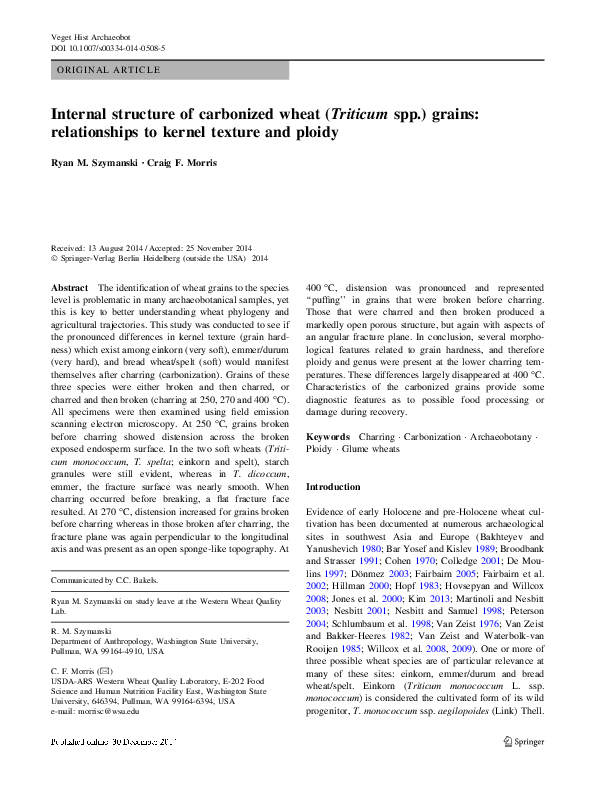 (PDF) Internal structure of carbonized wheat (Triticum spp.) grains ...