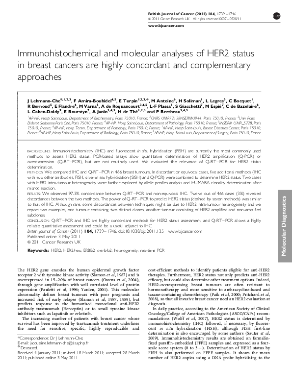 (PDF) Immunohistochemical and molecular analyses of HER2 status in ...