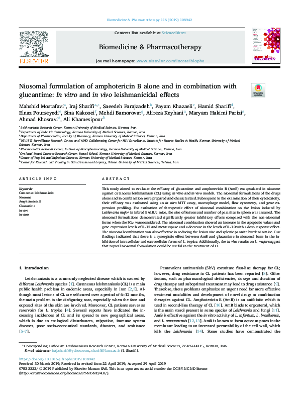 (PDF) Niosomal formulation of amphotericin B alone and in combination ...