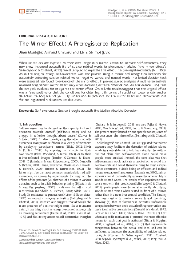 (PDF) The Mirror Effect: A Preregistered Replication