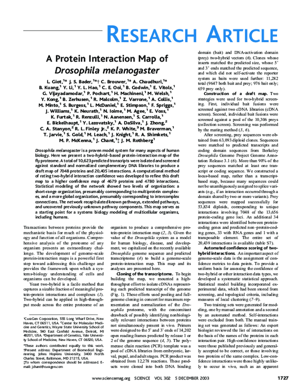 (PDF) A Protein Interaction Map of Drosophila melanogaster
