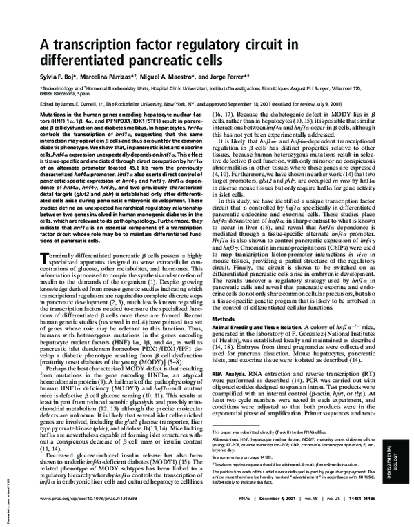(PDF) A transcription factor regulatory circuit in differentiated ...
