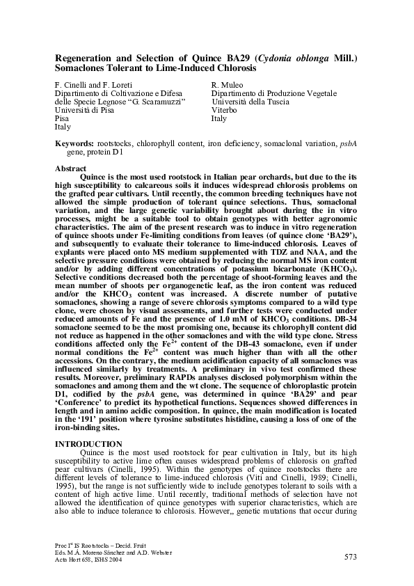 (PDF) Regeneration and Selection of Quince BA29 (Cydonia Oblonga MILL ...