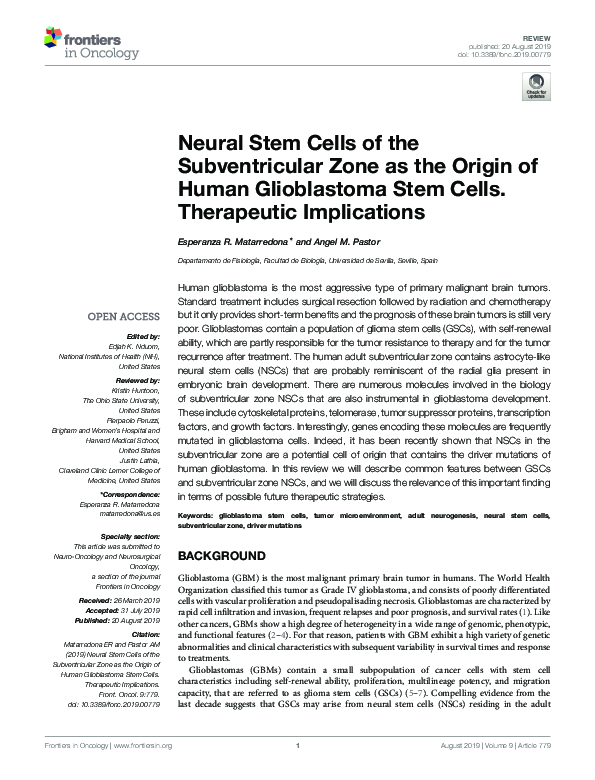 (PDF) Neural Stem Cells of the Subventricular Zone as the Origin of ...