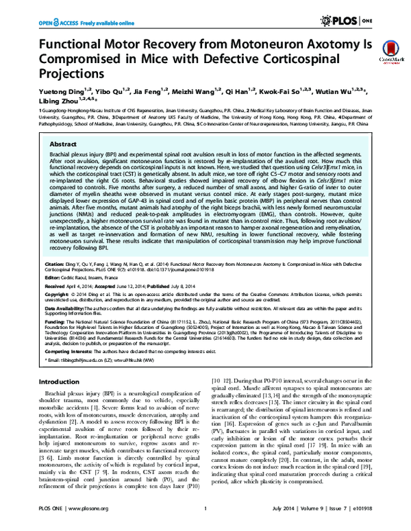 (PDF) Functional motor recovery from motoneuron axotomy is compromised ...