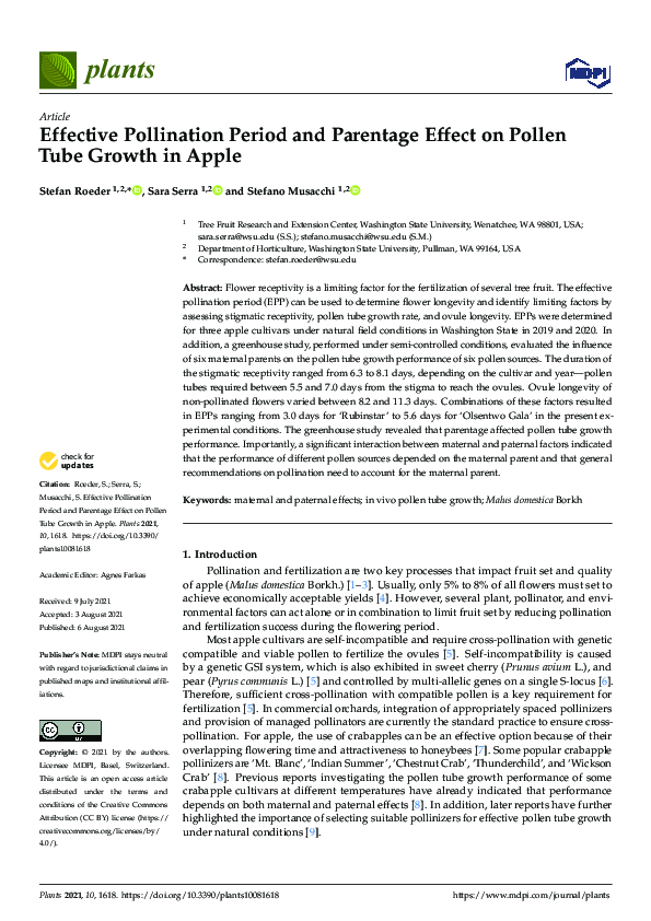 (PDF) Effective Pollination Period and Parentage Effect on Pollen Tube ...