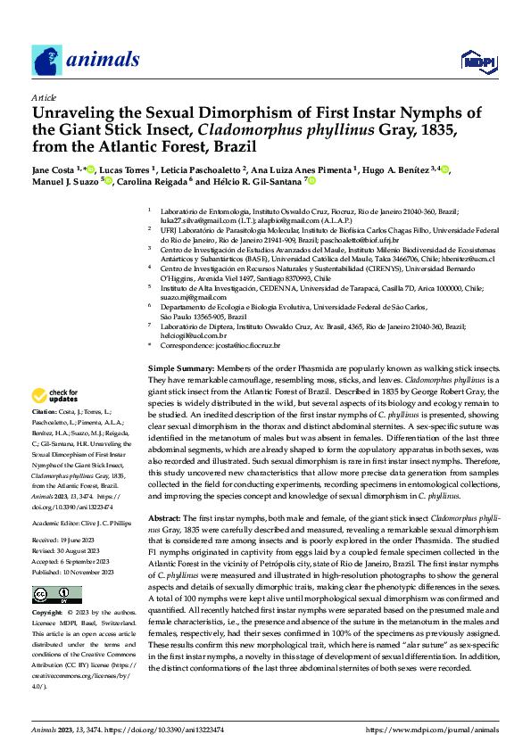 (PDF) Unraveling the Sexual Dimorphism of First Instar Nymphs of the ...