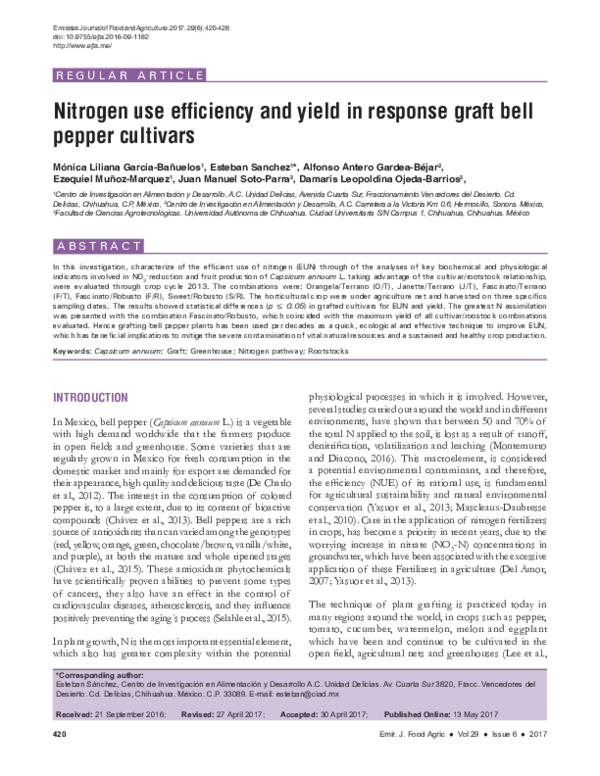 (PDF) Nitrogen Use Efficiency and Yield in Response Graft Bell Pepper ...