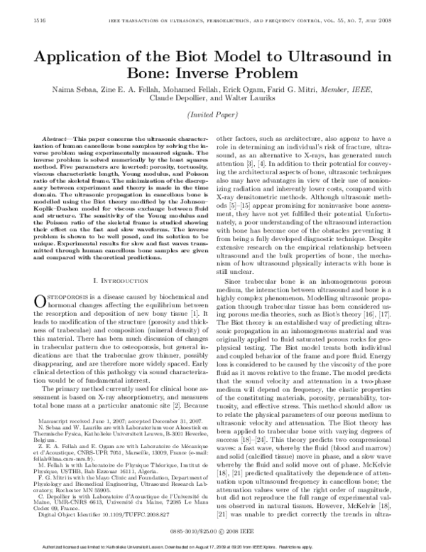 Application of the Biot model to ultrasound in bone: Inverse problem