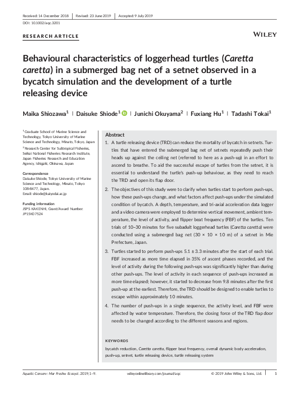 (PDF) Behavioural characteristics of loggerhead turtles ( Caretta ...