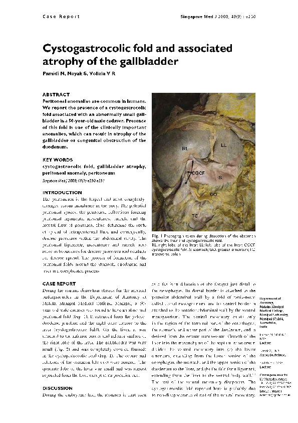 (PDF) Cystogastrocolic fold and associated atrophy of the gallbladder