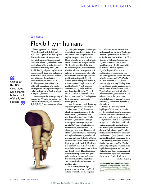 (PDF) Flexibility in humans