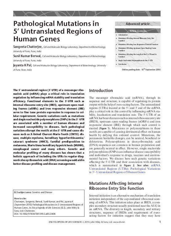 (PDF) Pathological Mutations in 5' Untranslated Regions of Human Genes
