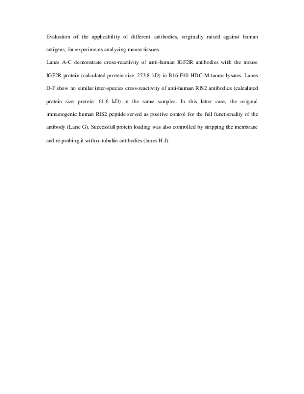 (PDF) Supplementary Figure Legend 2 from Histamine Suppresses Fibulin-5 ...
