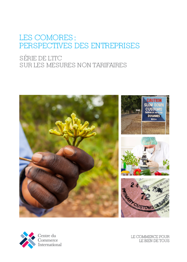 (PDF) LES COMORES : PERSPECTIVES DES ENTREPRISES