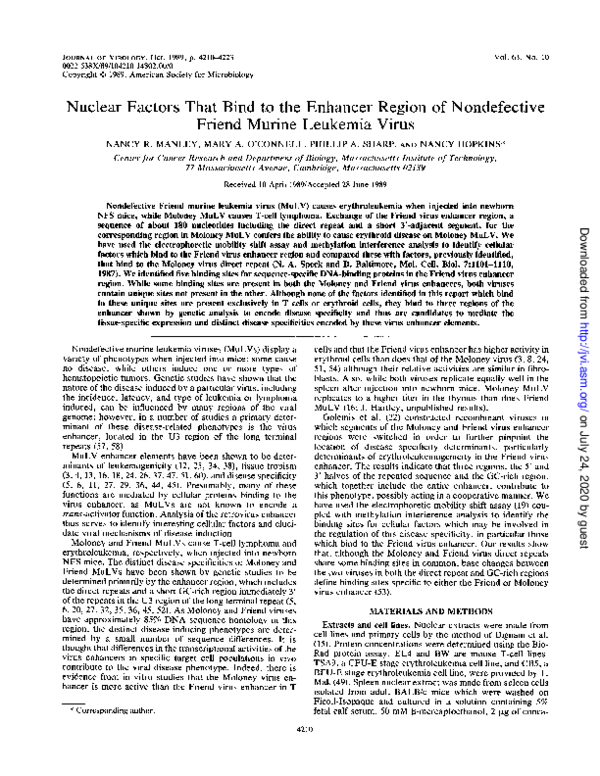 (PDF) Nuclear factors that bind to the enhancer region of nondefective ...