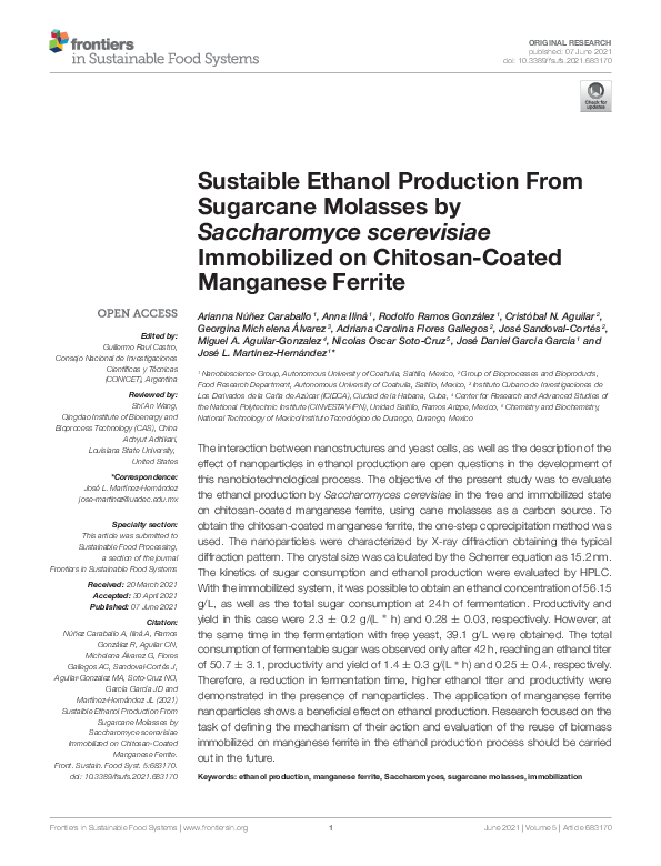 (PDF) Sustainable Ethanol Production From Sugarcane Molasses by ...