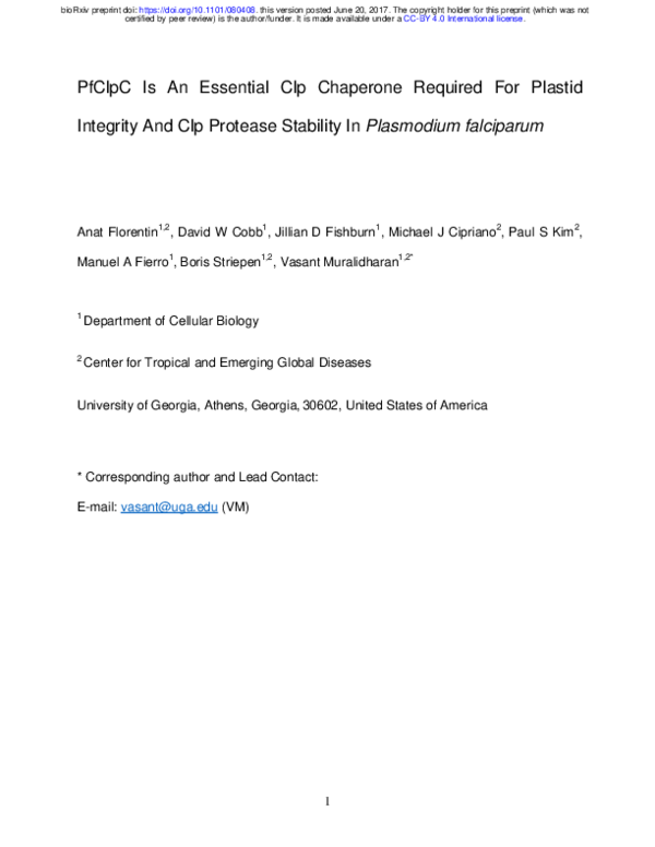 (PDF) PfClpC Is An Essential Clp Chaperone Required For Plastid ...