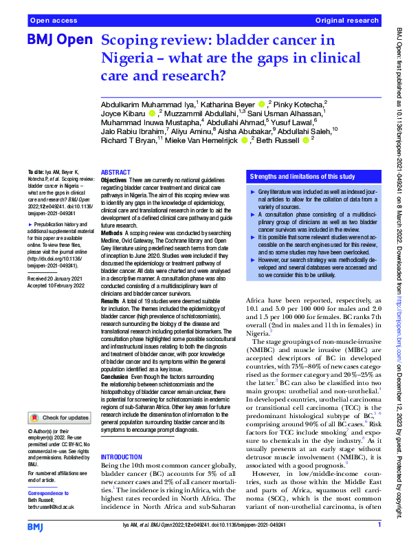 (PDF) Scoping review: bladder cancer in Nigeria – what are the gaps in ...