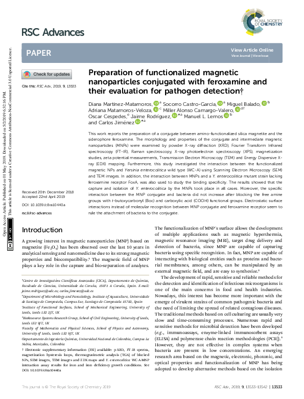 (PDF) Preparation of functionalized magnetic nanoparticles conjugated ...